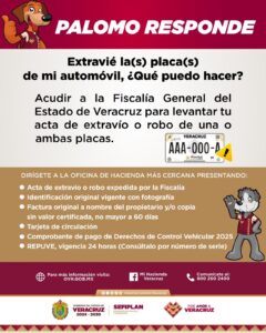 ¿Extraviaste o te robaron tus placas? Sefiplan te guía paso a paso