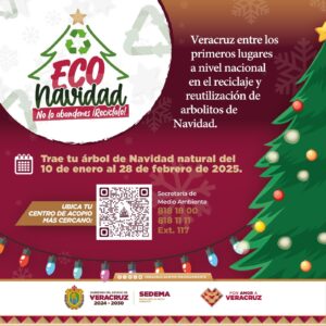No lo abandones, recicla tu arbolito; tienes hasta el 28 de febrero: SEDEMA