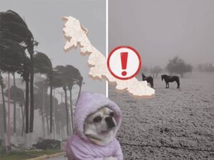 frio-en-veracruz--3-focus-0-min0.47-732-549