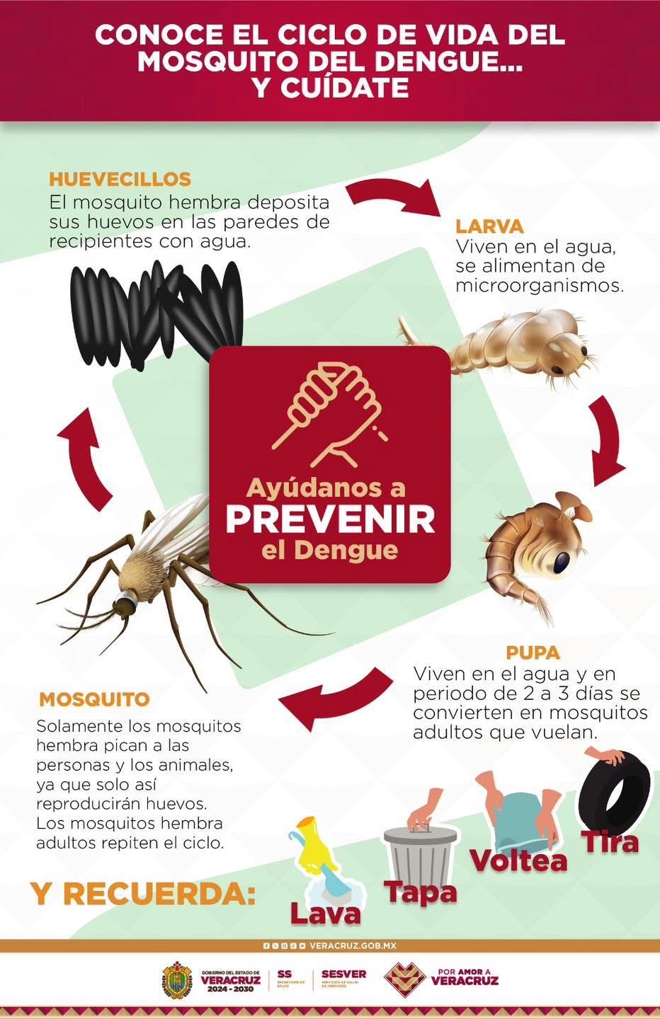 Arranca en Veracruz campaña intensiva contra el dengue: prevención y fumigación