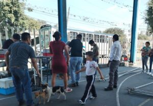 Centro de Bienestar Animal continúa dando orientación médica y aplicando vacunas, por el bien de los animales