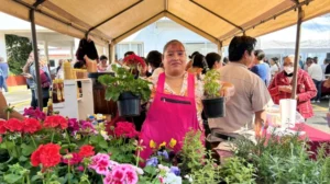 comercio-tianguis