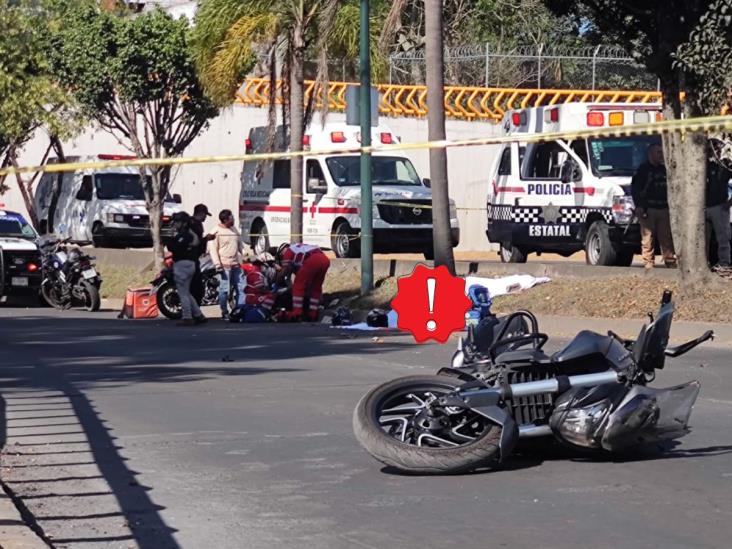 accidente-moto-circuito-presidentes-xalapa-d729a43a-focus-0-0-732-549