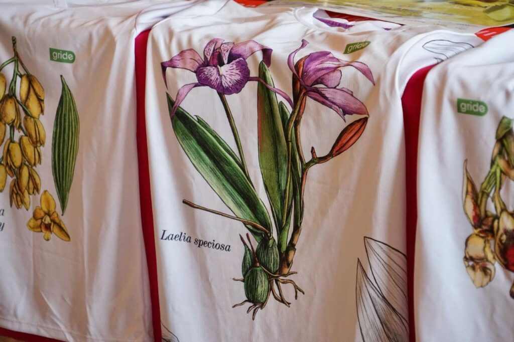 Festival Internacional de la Orquídea, este año dedicado a la vainilla