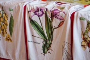 Festival Internacional de la Orquídea, este año dedicado a la vainilla