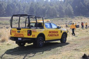 Veracruz, sin incendios forestales activos: Rocío Nahle