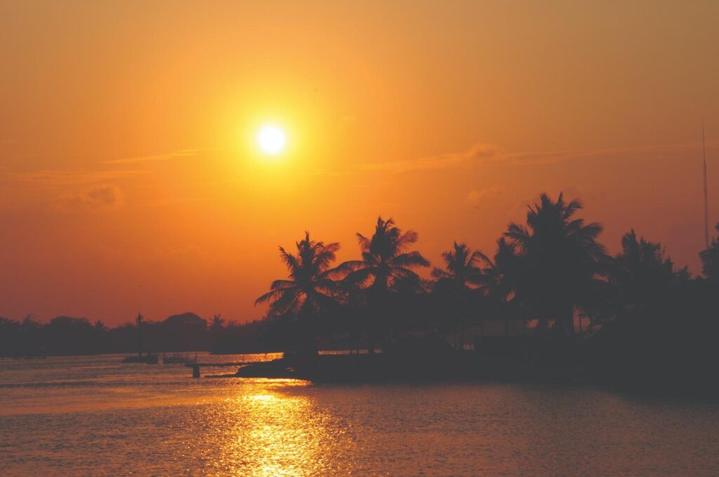 Deslumbra tus sentidos en Tuxpan, historia, naturaleza y sabor del Golfo