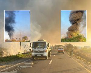 esta-cantidad-de-incendios-ha-ocurrido-en-las-matas-en-tan-solo-dos-semanas-987a3a23-focus-0-0-300-240